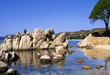 Maxi Doge: Unlocking the Presale Potential and Crypto's Visionary Path